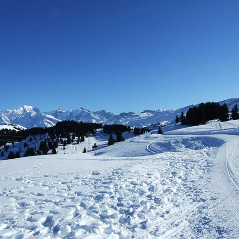 Location d'un appartement à Bisanne 1500 au pied des pistes - appartement 6-7 places - domaine skiable des Saisies