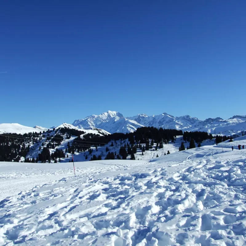 Location d'un appartement à Bisanne 1500 au pied des pistes - appartement 6-7 places - domaine skiable des Saisies